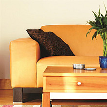 Leather Sofa with Coffee Table
