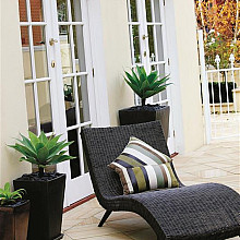 Outdoor Lounge with Plants